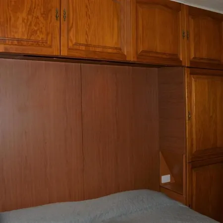 Geranios-san-eugenio-adeje-spain *