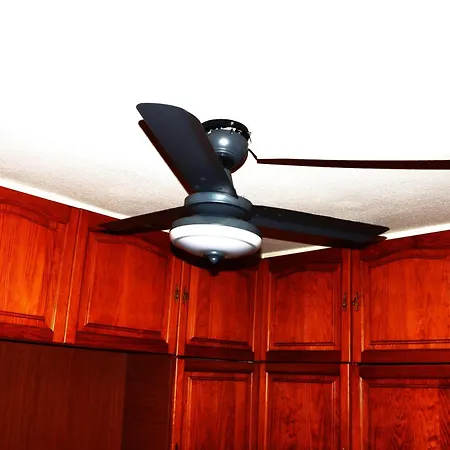 Geranios-san-eugenio-adeje-spain * Адехе