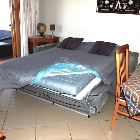 Geranios-san-eugenio-adeje-spain *